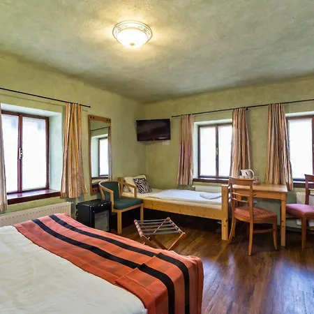 Penzion U Hada 3*